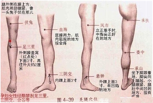 大腿上的胆经位置图图片