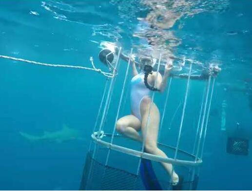 知名女 優海下拍攝 鯊魚突然沒有忍住 竟然造成這樣的後果 