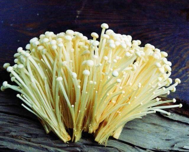 金針菇頭不要丟，簡單幾步家種出金針菇，1周就有大豐收！