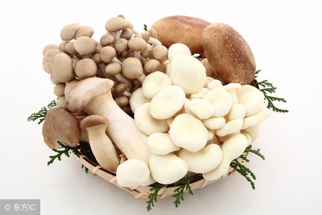 常吃蘑菇和香菇的的人，身體可能會有這些改善，每一個都很實用！