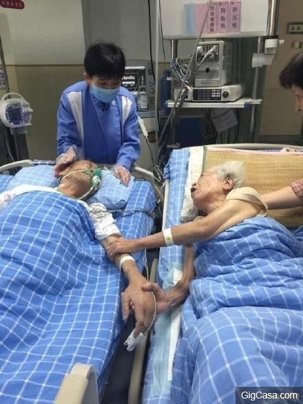 老爺爺臨終前哀求護士：我好想我的老太婆…兩人病床上拉着手「互許來生」令人鼻酸