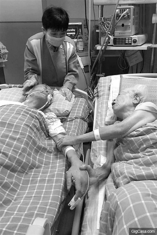 老爺爺臨終前哀求護士：我好想我的老太婆…兩人病床上拉着手「互許來生」令人鼻酸