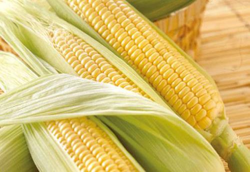 常吃玉米，有這些好處，你了解多少呢？