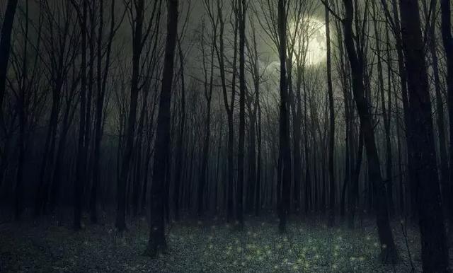 心理測試：4個森林你最害怕哪個？測試你內心最深處的自己是什麼樣