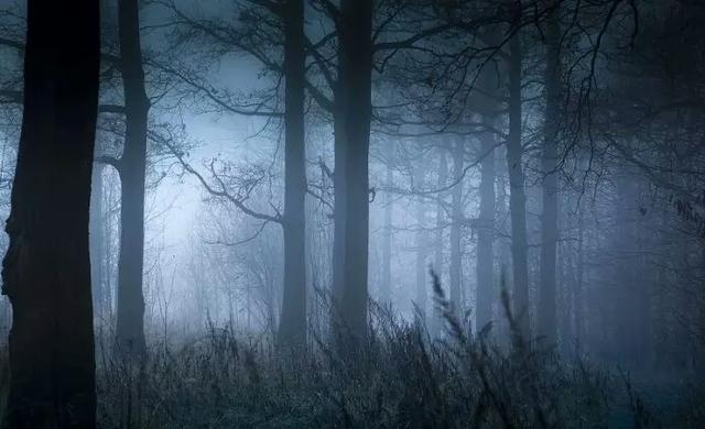 心理測試：4個森林你最害怕哪個？測試你內心最深處的自己是什麼樣