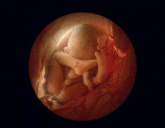 怀孕16周宝宝多大图片图片