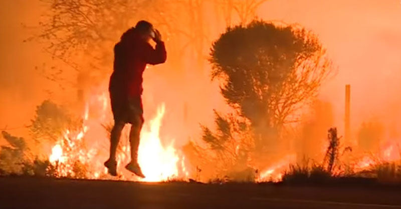大火燃燒12萬英畝土地，路邊拍到「紅衣男子抱頭」闖進大火拯救野生兔兔的最驚險感人的一幕！