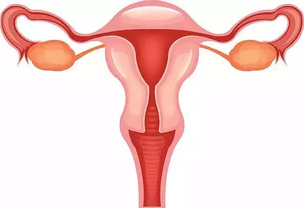 卵巢癌成「婦科第一癌」！6大危險因素，幾乎每個女性都可能中招