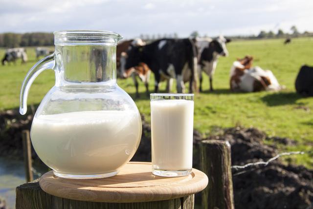 牛奶中全是防腐劑？喝牛奶有毒致癌？知道了這些，才能健康喝牛奶