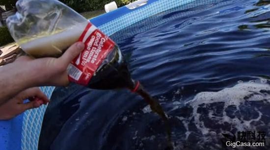 男子將2800瓶可樂倒入水池游泳...體驗很神奇