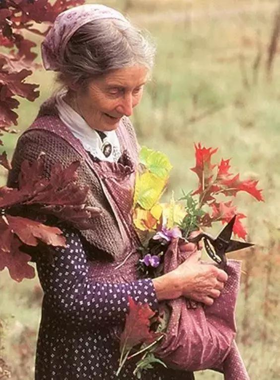 92歲的塔沙奶奶隱居山間，如仙女般把生活過成油畫般夢幻！