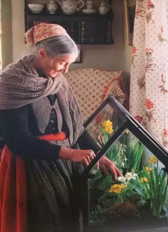 92歲的塔沙奶奶隱居山間，如仙女般把生活過成油畫般夢幻！