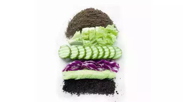人稱「三明治堆肥法」，菜葉瓜果皮都能變花肥，關鍵還沒異味！
