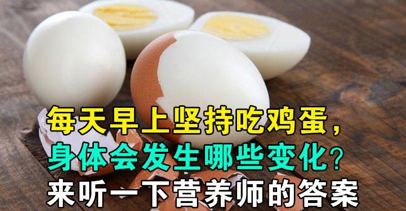 每天早上堅持吃雞蛋，身體會發生哪些變化？來聽一下營養師的答案