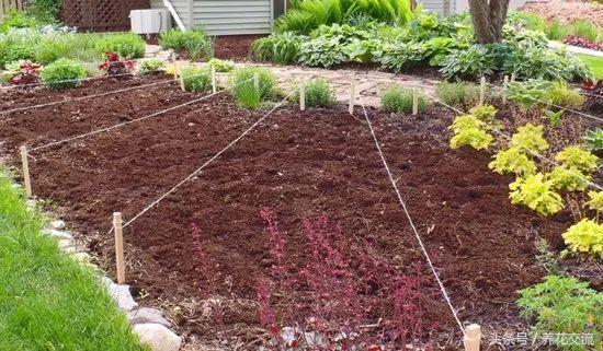 自製肥料的9種常見材料，用這些技巧就能促進植物生長
