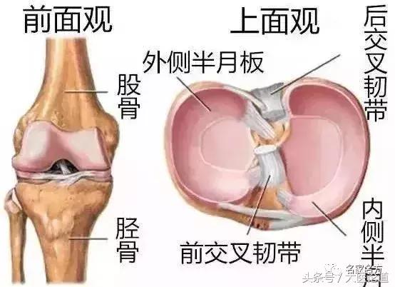 每天做100下，藏醫泰斗85歲仍血管幹乾淨淨，走路健步如飛