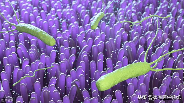幽門螺旋桿菌「入侵」身體，會有4個表現，出現頻繁要注意