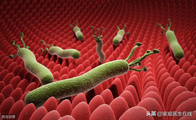 幽門螺旋桿菌「入侵」身體，會有4個表現，出現頻繁要注意