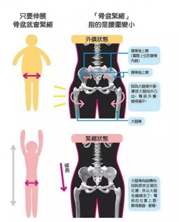 日本風行「骨盆瘦身術」！早晨只要2分鐘，腰瘦15cm！跟著做就對了