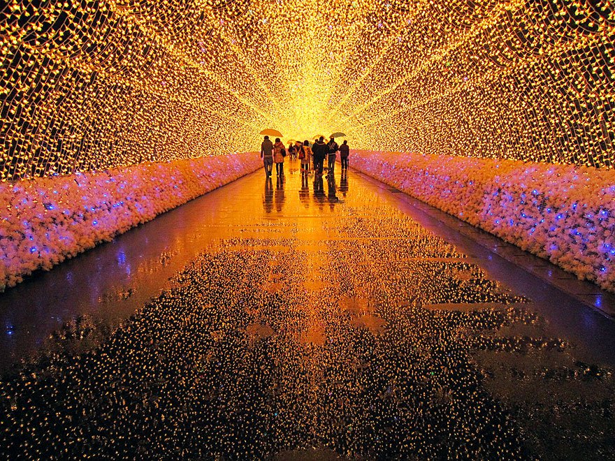 日本的冬季燈彩節 (Winter Light Festival)