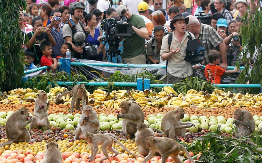泰國的猴子節 (Monkey Buffet Festival)