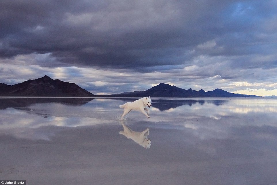 波利維爾鹽窪 (Bonneville Salt Flats)