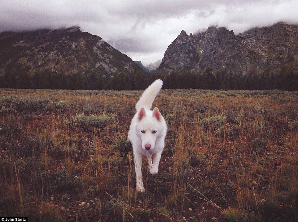 大蒂頓國家公園 (Grand Teton National Park)