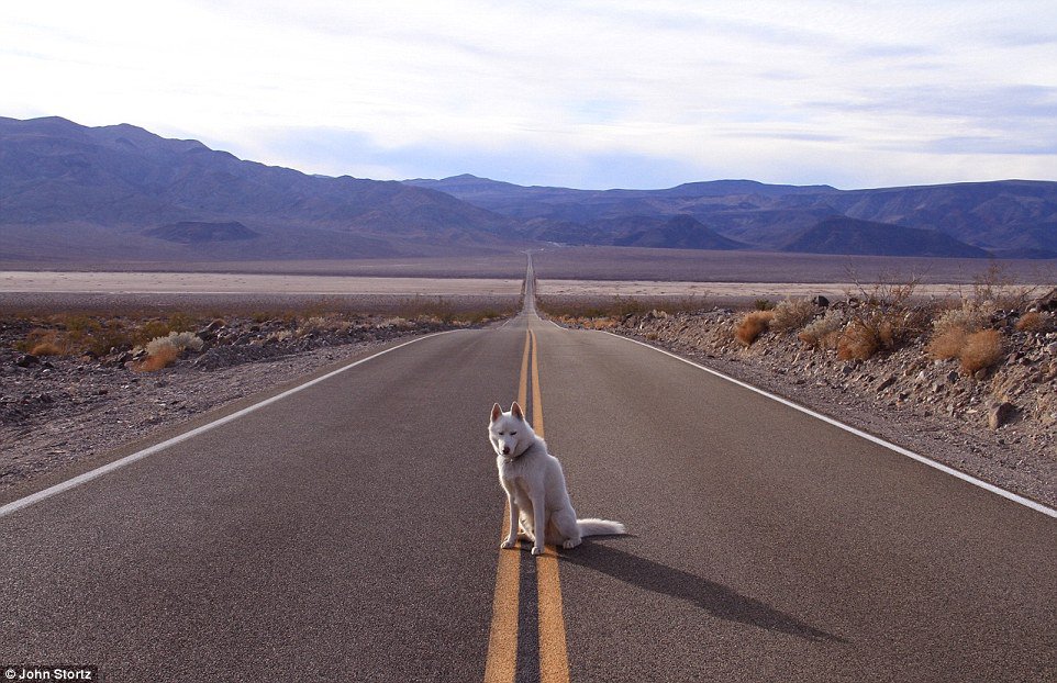 位於加州邊界的死亡谷國家公園 (Death Valley National Park)