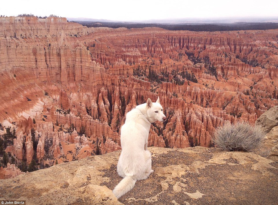 布萊斯峽谷國家公園 (Bryce Canyon National Park)