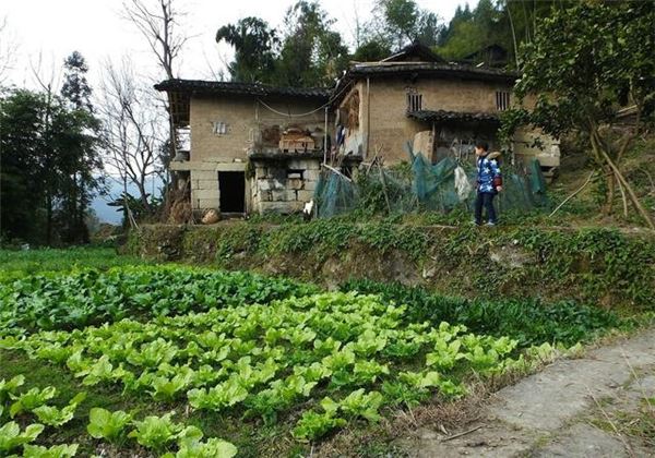 繼母60大壽那天，我包了2千元紅包給她，沒想到席間卻接到老公和婆婆的電話…我憤然回家離婚！