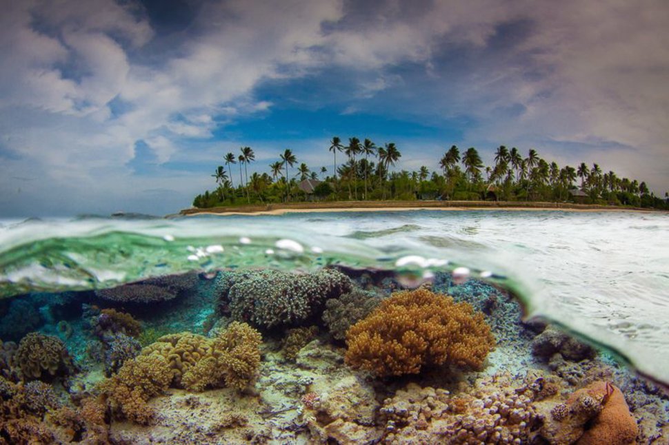 印尼 弗洛勒斯海 Flores Sea, Indonesia