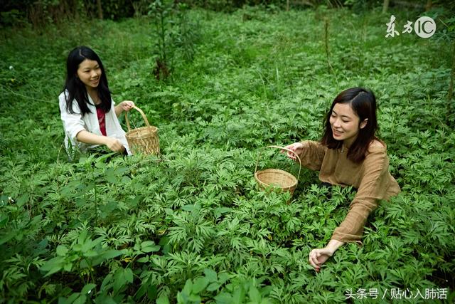 女性洗澡的時候，這個「溝」一定要洗，它是藏汙納垢的好地方