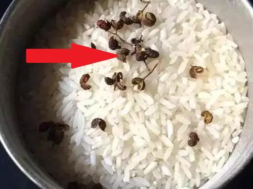 家裡大米長蟲怎麼辦？教你一招，輕鬆解決長蟲問題 