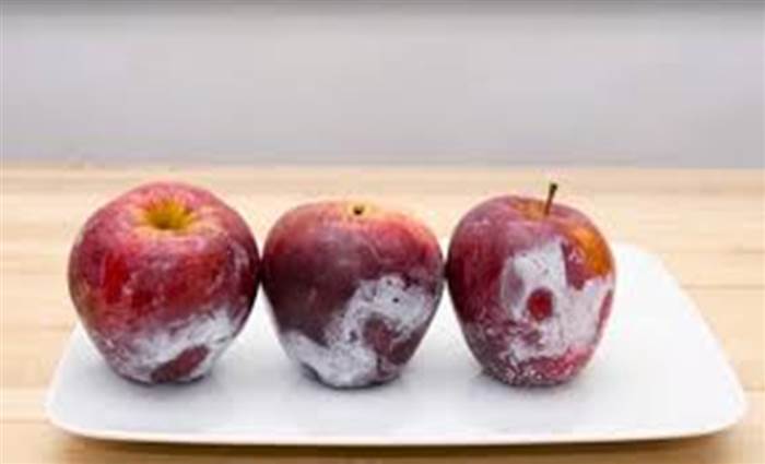 打蠟蘋果「致癌」？【快速一招】讓果蠟驚悚現形！遇上「黑心蘋果」也不怕！