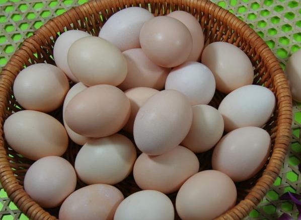 雞蛋買回家別直接放冰箱，教你1簡單小竅門，雞蛋放再久都不會壞