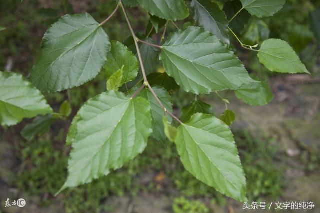 醫生告誡：45歲之後，身體的4個信號，暗示體內已經出現癌細胞！