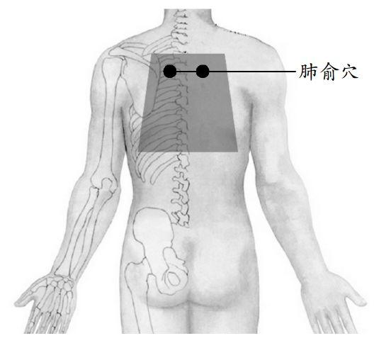 肺好不好，刮刮後背就知道！呼吸科醫生推薦一個養肺動作