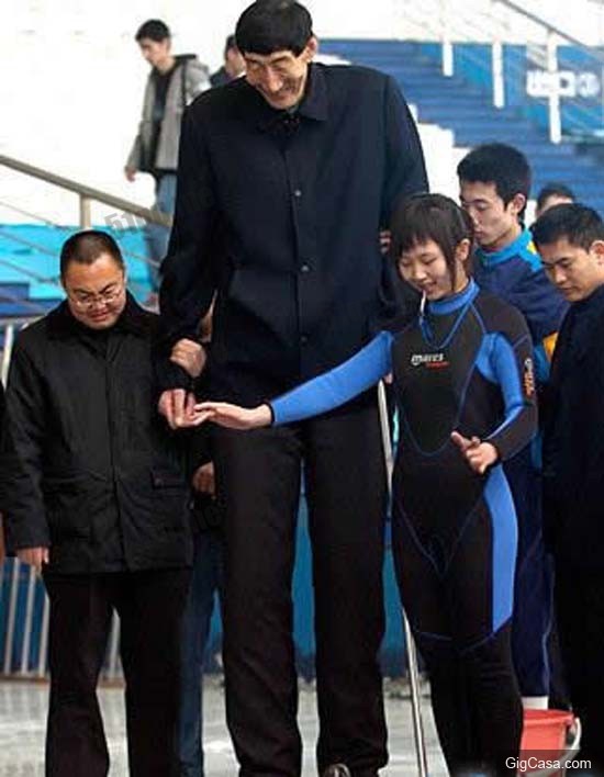 8個世界最高的人，才發現原來姚明不是很高...