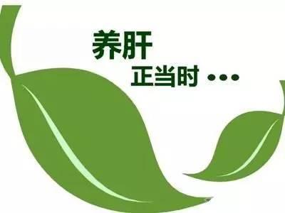 最全的健康時間表！全是知識點！