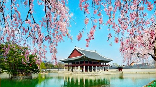 初遊韓國必去!必吃!必買!