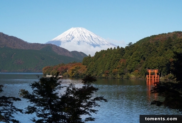 箱根神社被認為是古代山嶽信仰的靈地。翻攝自新注音新聞