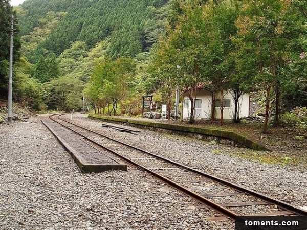 尾盛站位於靜岡県榛原郡川根本町犬間、是大井川鐵道井川線的車站。翻攝自新注音新聞