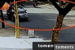 14338961259941.jpg