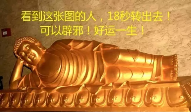 1437540872398.jpg
