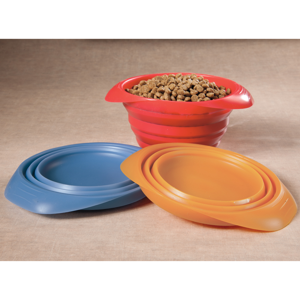 Choose the Best Dog Bowl-7