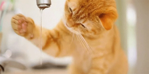 anigif_enhanced-6626-1435686273-2