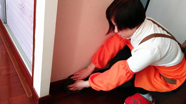 新房竟然有蟑螂?用上這辦法,立馬去除的乾乾淨淨!