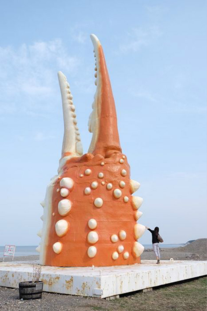 一舉擎天！全球聞名！北海道根室、紋別，帝王巨蟹！ (Hokkaido King Crabs) ，還有豐富的帝王蟹大餐