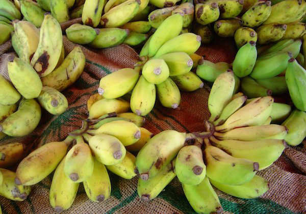 Just like blueberries, bananas are high in antioxidants.