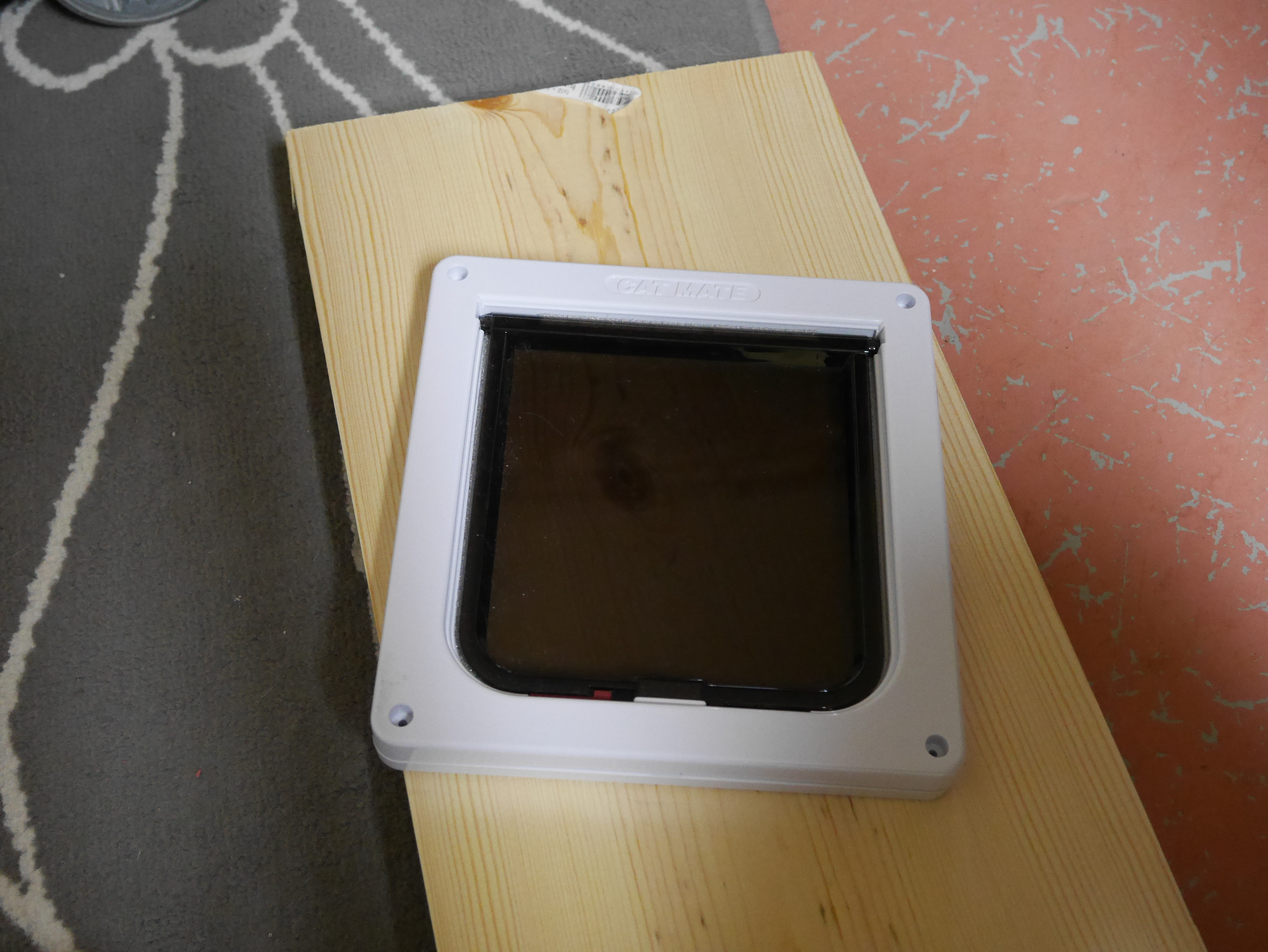 The cat door